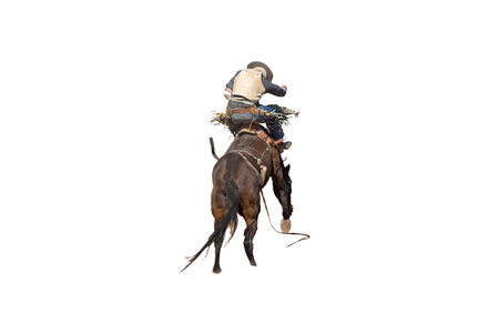 A bucking bronc wild horse riding event at a country rodeo, isolated white background, room for text, copy spaceの写真素材