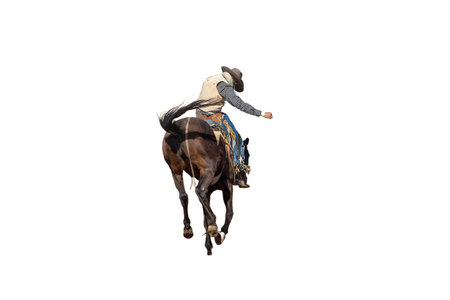 A bucking bronc wild horse riding event at a country rodeo, isolated white background, room for text, copy spaceの写真素材
