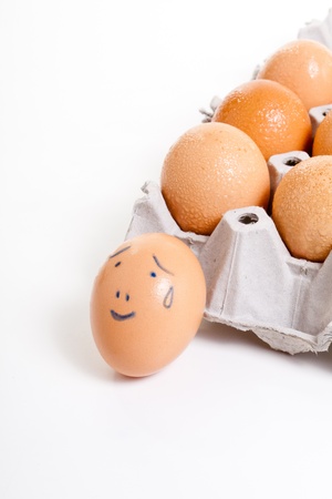 Chicken brown egg, package background, emotionの写真素材