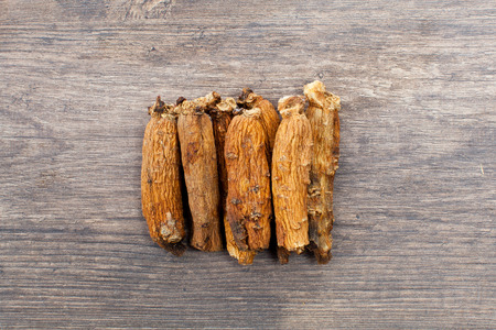 ginseng on the woodの写真素材