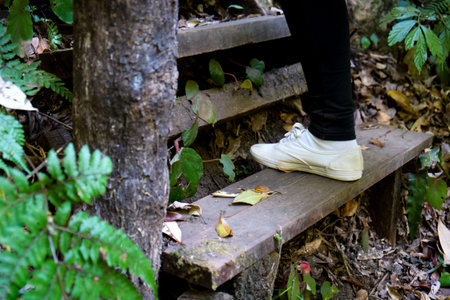 Walking upstairs in forest, step upの写真素材