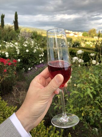 Enjoying some red wine at a wedding reception in Napa Valleyの写真素材