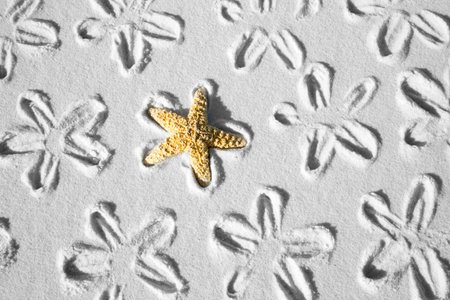A starfish pattern embedded into the white sand in Destin Floridaの写真素材