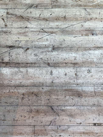 Rows of birch tree boards in a floor patternの写真素材