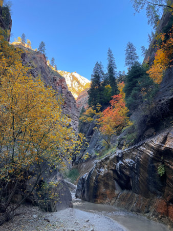 Mountain river in autumn, Zion National Park, The Narrows, USAの写真素材