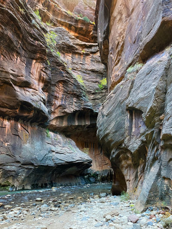 Hiking in Zion National Park in Utah, USA. The canyon is composed of layers of basaltic and travertine sandstone.の写真素材