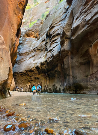 Zion National Park is an American national park located in southwestern Utah near the town of Springdale.の写真素材