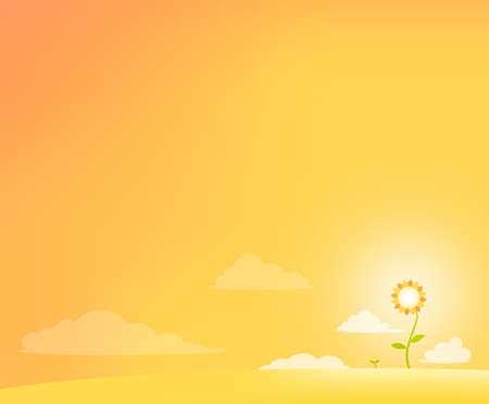 Sunflower Sunsetの写真素材