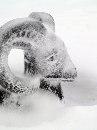 snowed in statueの写真素材