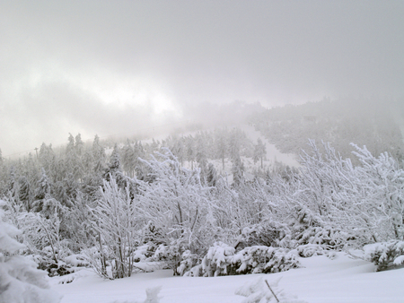 Beautiful winter landscape with snow covered treesの写真素材