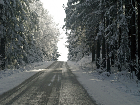 Beautiful winter landscape with snow covered treesの写真素材