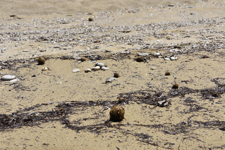 Corfu, Greece Ionian Islands 2018 Vacation Summerの写真素材