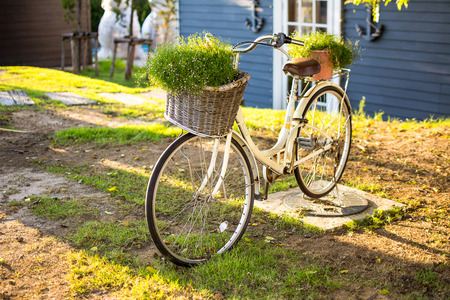 Old bicycle in the parkの写真素材