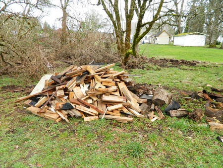 A Pile Of Woodの写真素材