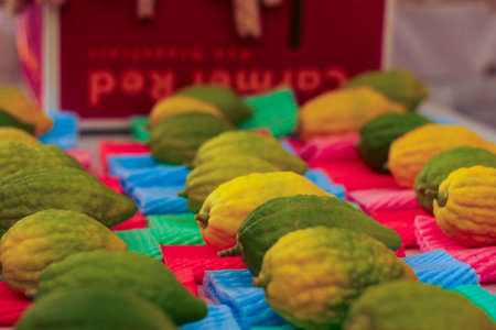 Esrogim Laid Out for Purchaseの写真素材