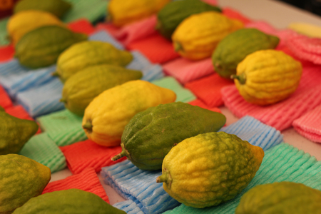 Esrogim on Table in Shukの写真素材