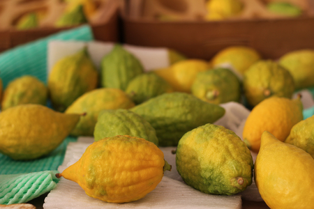 Esrogim on Table in Shukの写真素材