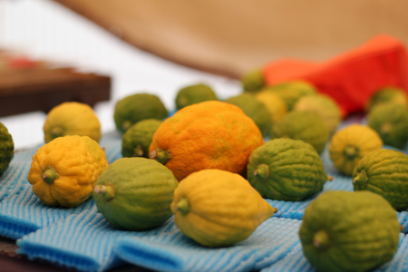 Esrogim on Table in Shukの写真素材