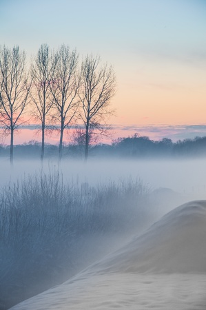 Winterの写真素材