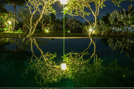 Swimming pool in the jungle. Bali Indonesia Reflection of trees on infinity pool