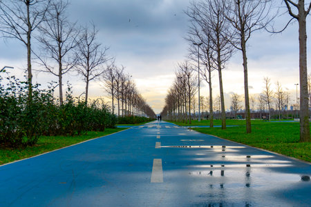 Special bicycle lane at the center of the park through naked tree branches