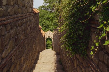 Steep stairs to a small church through green trees, Tbilisiの写真素材