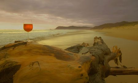 Sunset Roseの写真素材