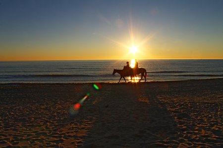Riding horses on the beach during sunset, back lightの写真素材