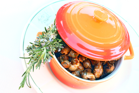 Sea snails in a potの写真素材