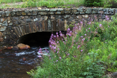Stone Bridge for Foot Path Over a Creek in Colorado.  Flowers on the banks of the creek near Rocky Mountain National Park.の写真素材