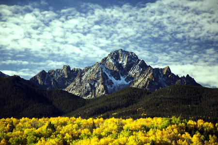 Aspen Trees in front of a Rugged Peak in the San Juan Mountains, Coloradoの写真素材