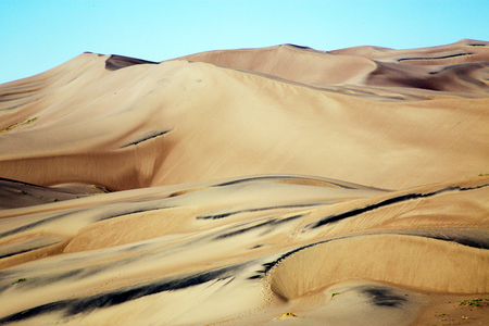 Golden Sand Dunes at the Great Sand Dunes National Park and Preserve, Coloradoの写真素材