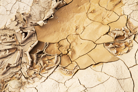 Mud Drying Out and Cracking and Curling at Badlands National Park in South Dakotaの写真素材