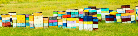 Colorful Beehives of the rolling hill of South Dakota, near Custer State Park, South Dakotaの写真素材
