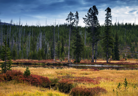 Lewis River During Fall Colors in Yellowstone National Park, Wyomingの写真素材