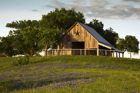 Bluebonnet Trail Barn Near Ennis, Texasの写真素材