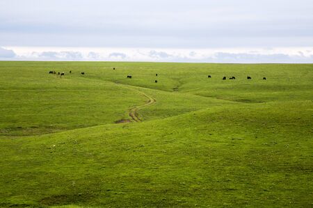 Rolling Prairies in Flint Hills Of Kansasの写真素材