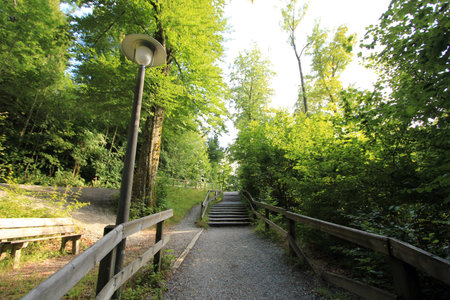 Walkway through the woods Switzerlandの写真素材