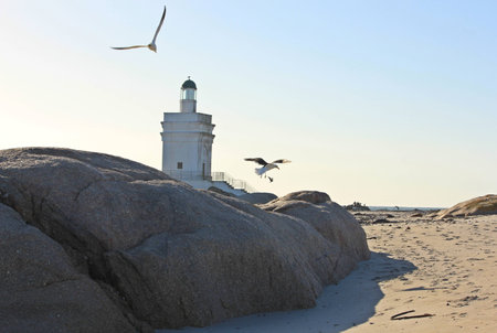 Lighthouse on Beachの写真素材