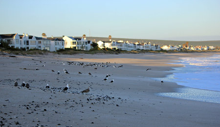 Shelley Point Western Cape South Africaの写真素材