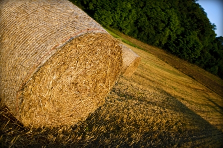 Roll of pastureの写真素材