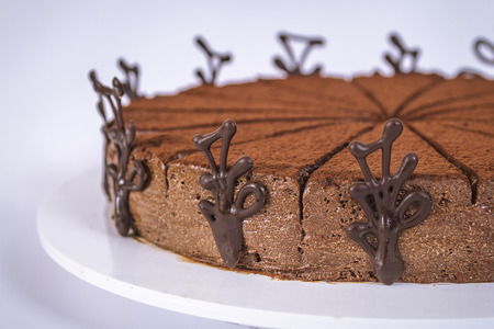Chocolate cakeの写真素材