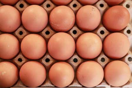 Chicken eggs in the box container package