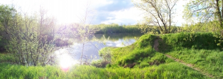 pond and sunの写真素材