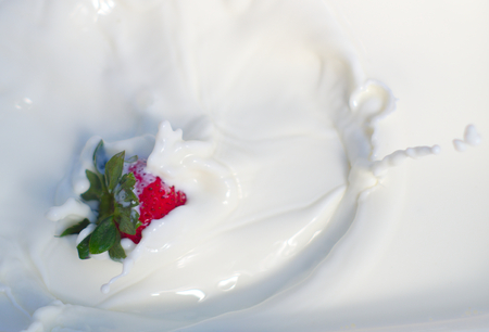 one strawberry splashing into creamy yogurtの写真素材