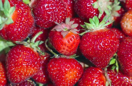 organic strawberries full frame natural fruits berriesの写真素材