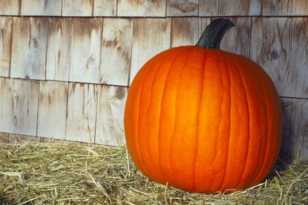 pumpkin hay farm halloween thanksgiving country harvestの写真素材