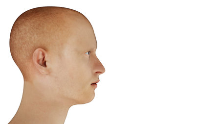 man portrait profile redhead side view on white background 3D illustration
