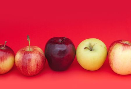 many kinds of apples on red background organic fruitsの写真素材