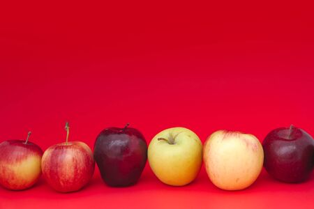 many kinds of apples on red background organic fruitsの写真素材